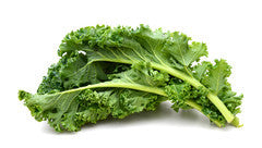 Kale | Bunch | YG-FFF-137 | FFF-000641