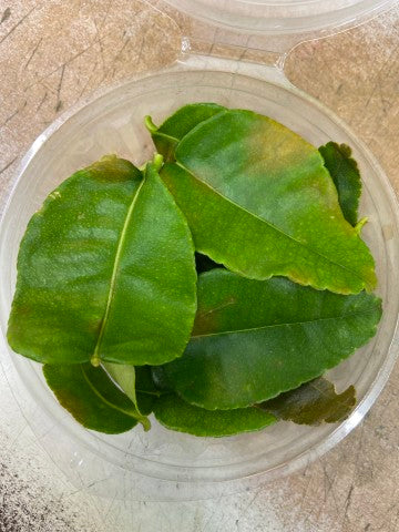 Lime Leaves | 100g | YG-FFF-1745 | FFF-000746