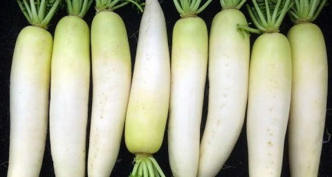 Daikon | 500g | YG-FFF-1820 | FFF-000827
