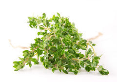 Thyme | Bunch | YG-FFF-279 | FFF-001062