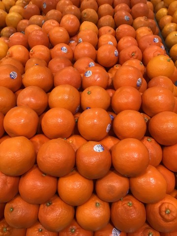 Tangelo | YG-GAN-762 | GFV-002212