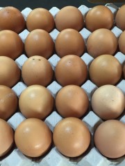 Tray Of 30 Free Range Eggs (min 70g) | Each | Country Pride | YG-TE-63 | EGP-006416