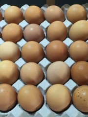 Tray Of 30 Free Range Eggs (min 61g) | Each | Country Pride | YG-011119-EGP-006768
