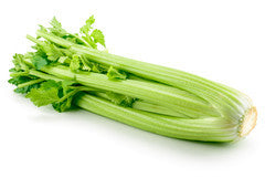 Celery (i.p.m) | YG-PIN-194 | PFP-004662
