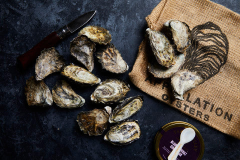 Live Rock Oysters (unopened) Dozen | Dozen | YG-011163-FS-010380