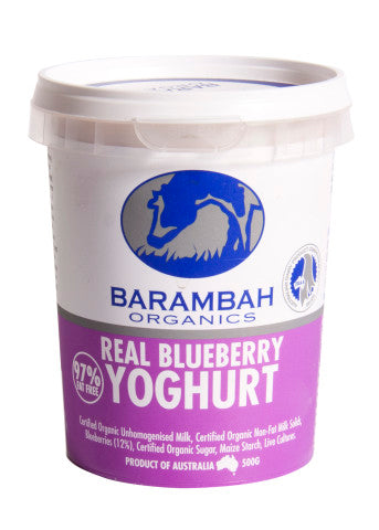 Real Blueberry Yoghurt | 500g | Barambah Organics | YG-011075-RO-006656