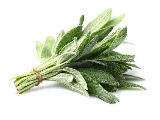Sage | Bunch | YG-PIN-135 | PFP-004680