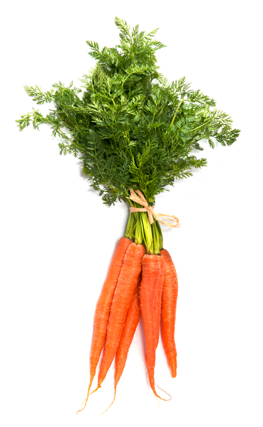 Carrots Dutch | Bunch | YG-PIN-108 | PFP-004596