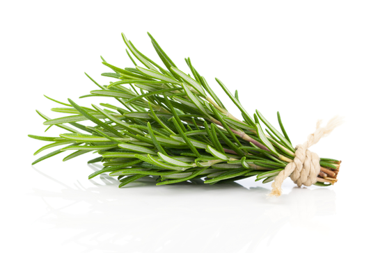 Rosemary | Bunch | YG-PIN-134 | PFP-004719