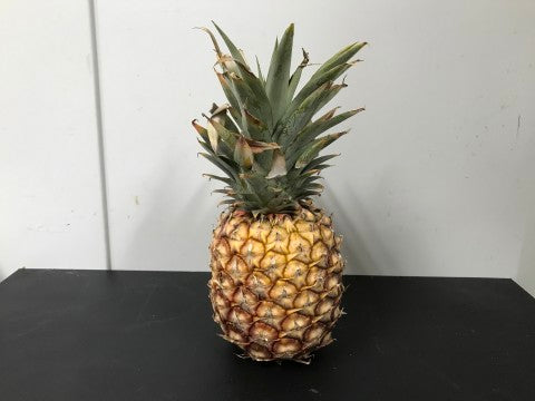 Pineapple | YG-RO3-147 | RO-006649