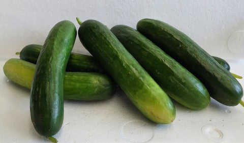 Lebanese Cucumber Organic | Each Unit | YG-011099-RO-006445
