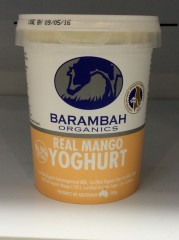 Organic Real Mango Yoghurt Lactose Free | 100g | YG-007169-PD-019715
