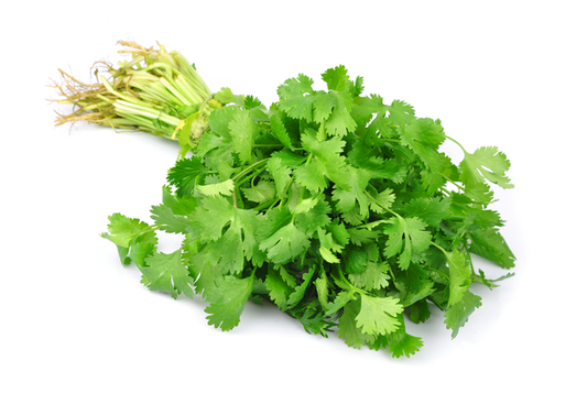 Coriander | Bunch | YG-PIN-127 | PFP-004738