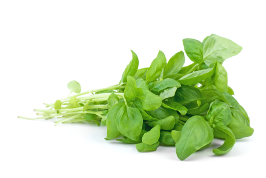Basil | Bunch | YG-PIN-124 | PFP-004566