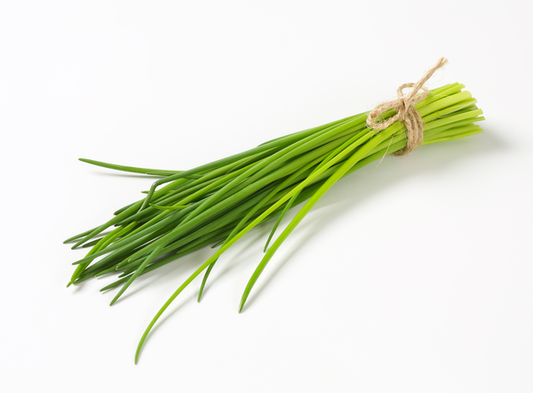 Chives | Bunch | YG-PIN-126 | PFP-004547