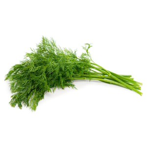 Dill | Bunch | YG-RO3-175 | RO-022528