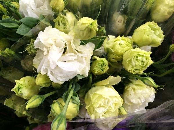 Lisianthums | Bunch | YG-000771-GFV-001962