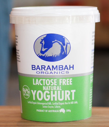 Lactose Free Natural Yoghurt | 500g | Barambah Organics | YG-007110-PD-019683