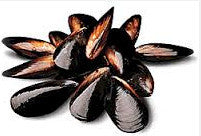 Mussels | 1kg | YG-004343-OMS-006347