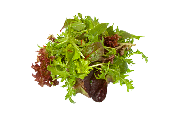Salad Mix - Salad | 100g | YG-PIN-122 | PFP-004568