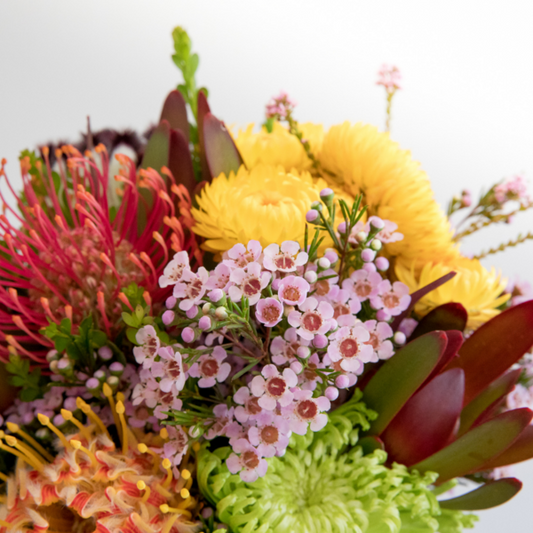 Natives | Each | YG-000716-GFV-001767