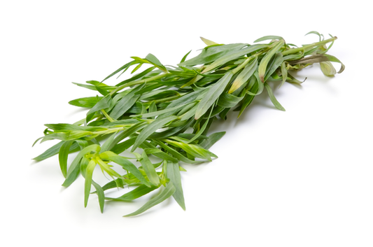 Tarragon | Bunch | YG-PIN-136 | PFP-004553