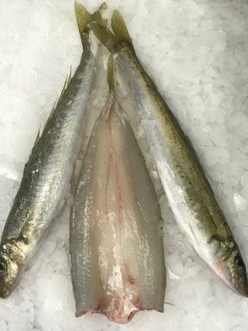King George Whiting Fillets | 100g | YG-004350-OMS-006353