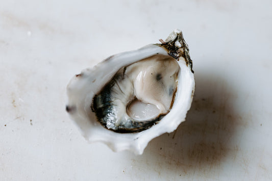 Pacific Oysters (Shucked)  Dozen