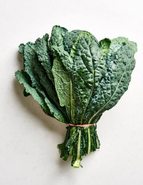 Tuscan Kale Organic