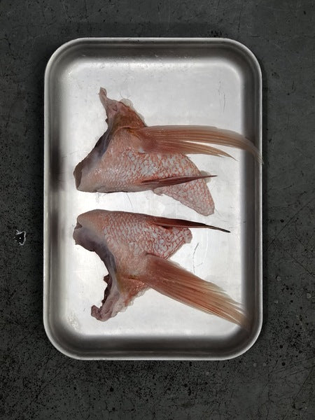 Red Emperor Wings 