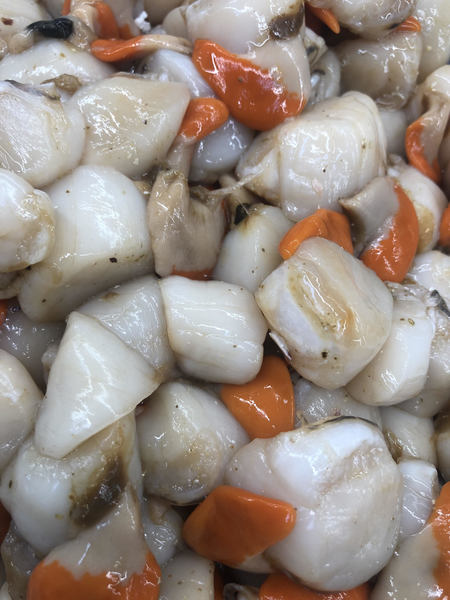 Scallops Loose (Bass Strait)