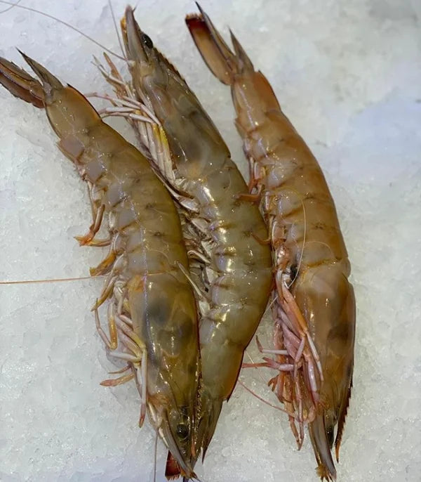 QLD King Prawns Raw | 250g | YG-104545-OMS-060149