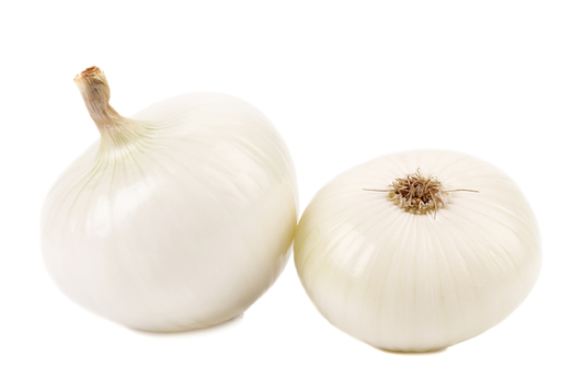 Onion White 