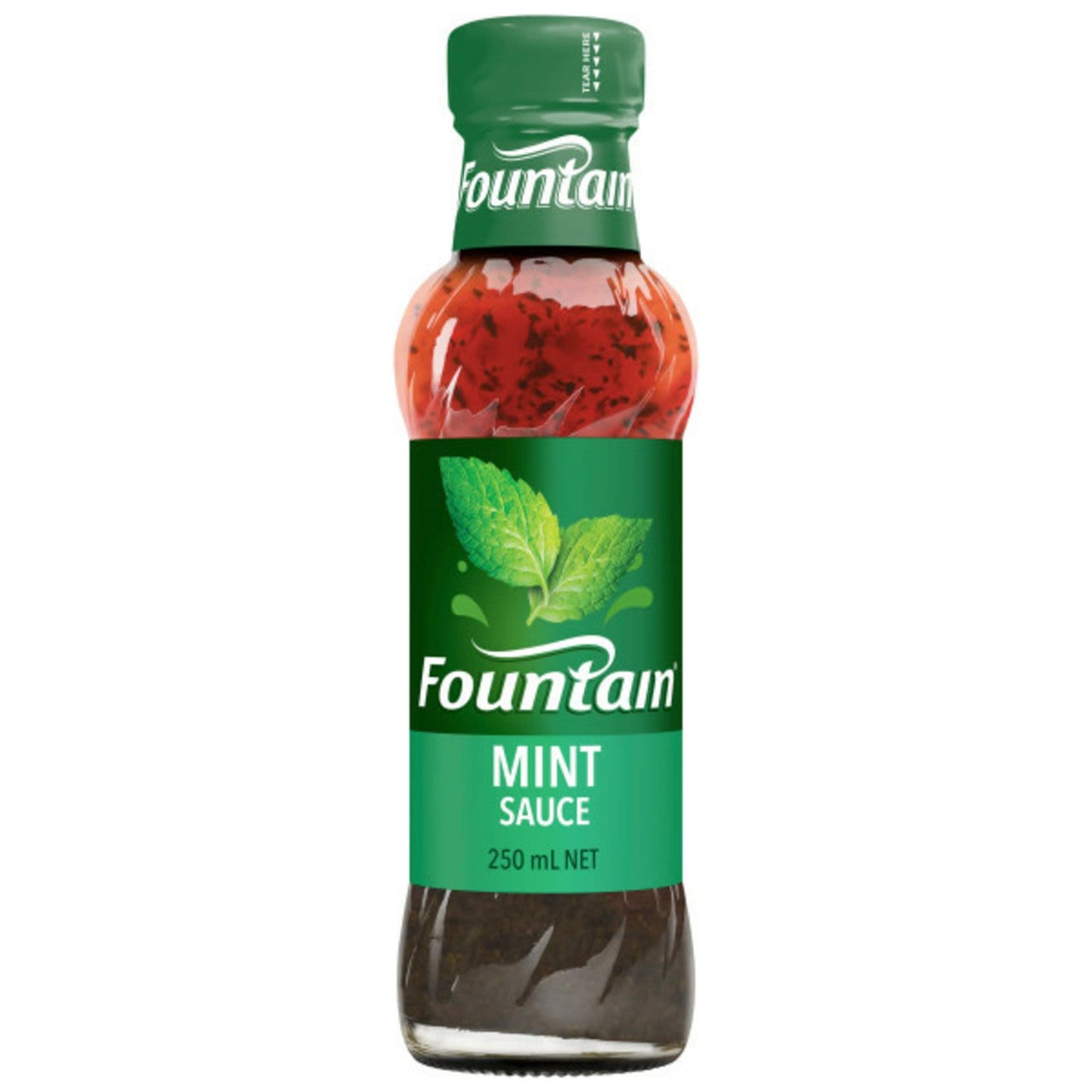 Fountain Mint Sauce | 100ml | YG-009383-PD-047132