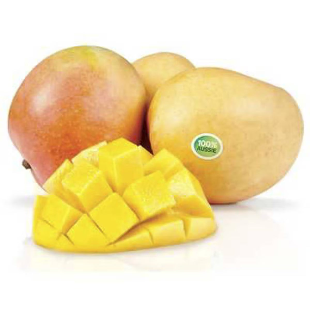 Mango R2e2 | Each | YG-009687-WW-021943