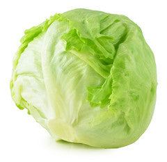 Lettuce Iceberg