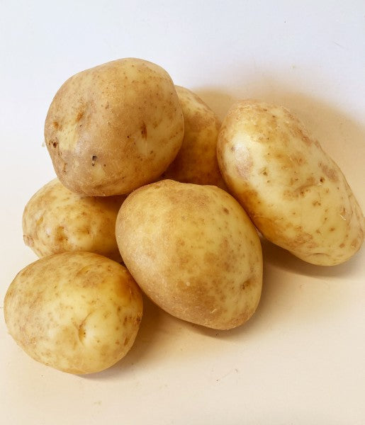 Sebago Potatoes Organic
