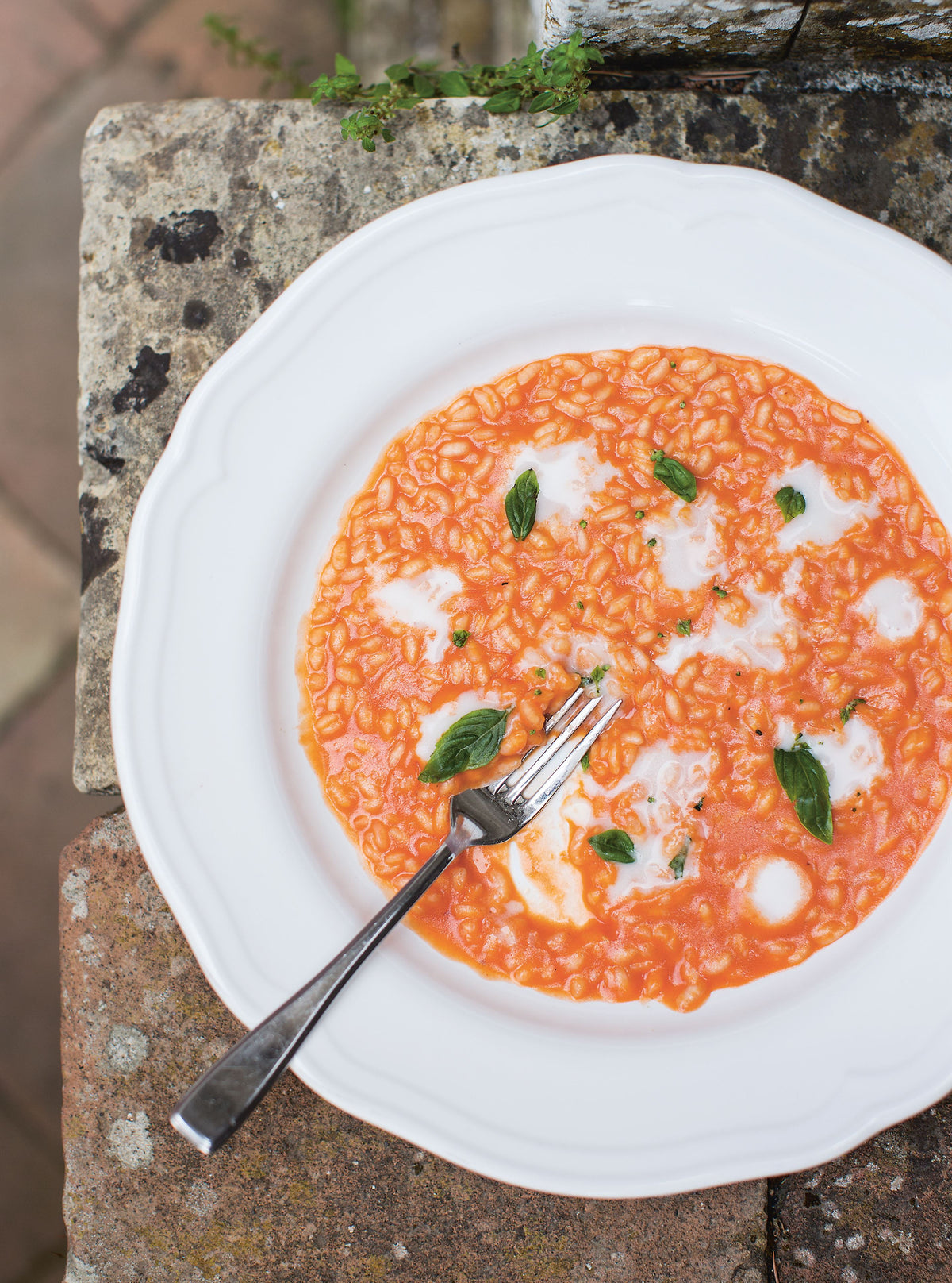 Cherry Tomato Risotto with Buffalo Mozzarella – YourGrocer