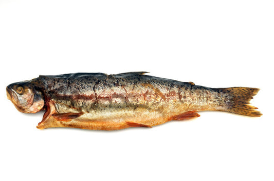 Whole Smoked Rainbow Trout