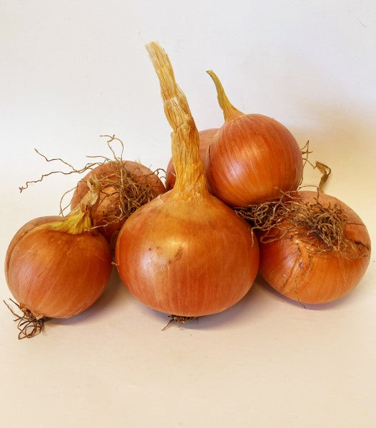 Onion Brown Organic