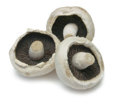 Mushroom - Flat