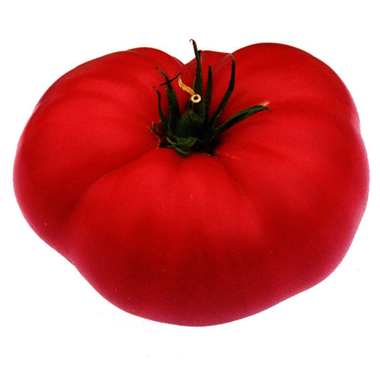 Tomatoes Heirloom