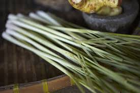 Fresh Lemongrass