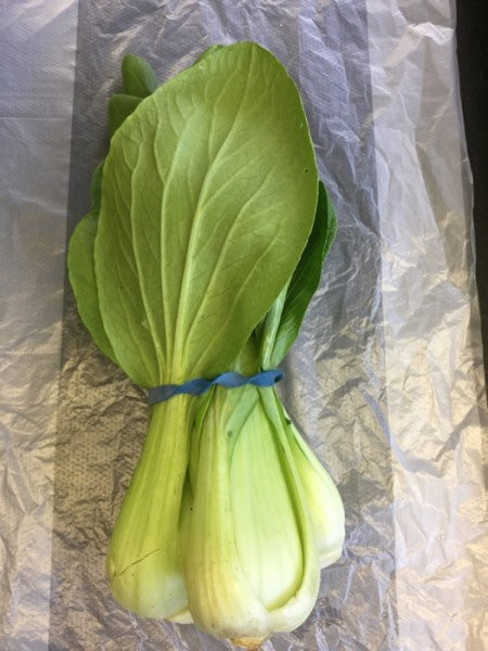 Pak Choy Organic