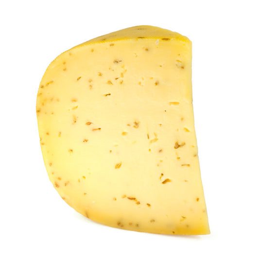 Dutch Leyden