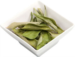 Curry Leaf