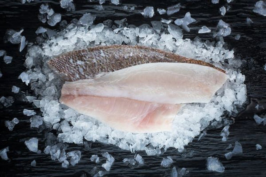 Baby Snapper Fillet