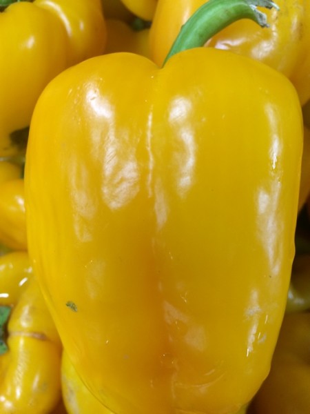 Yellow Capsicum