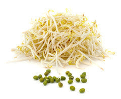 Bean Shoots