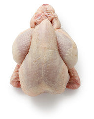 Poussin
